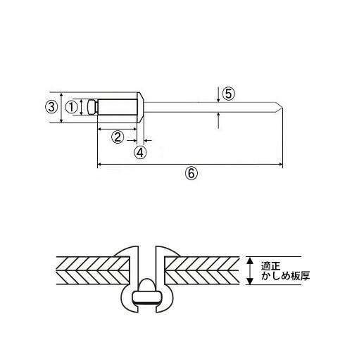 エビ/ロブテックス NSS41EB ブラインドリベット(丸頭) エコBOX(300本入