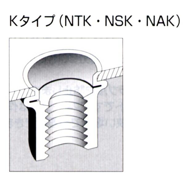 エビ【ロブテックス】 NSK-525M エビナット スティール製(皿頭)BOX