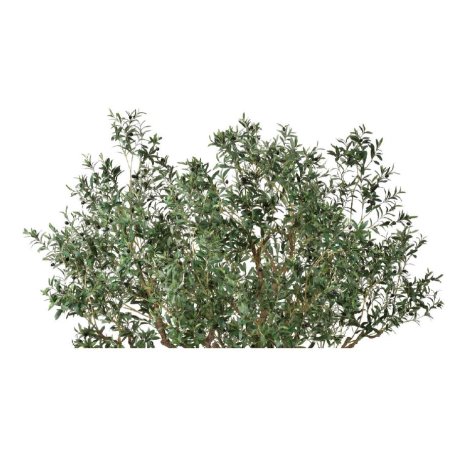 人工観葉植物 大型 商業施設 ロビー／ワイルドオリーブツリー H230cm×W200cm a580970人工観葉植物と壁面装飾の愛一輪