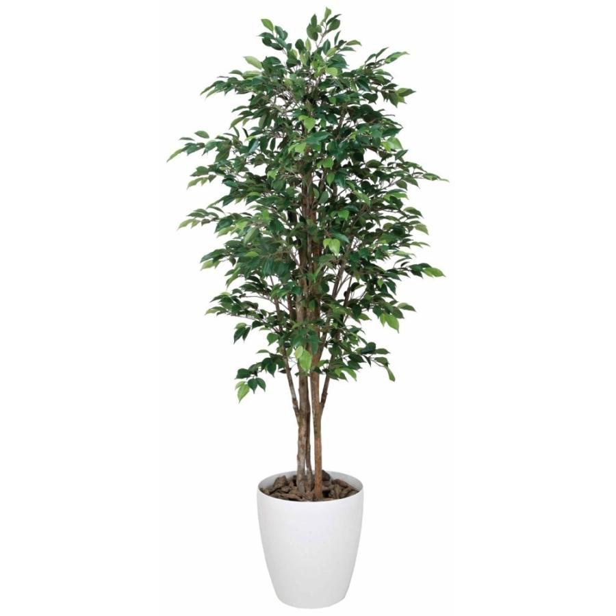激安単価で 観葉植物 フェイク 大型 人工植物 光触媒 ベンジャミン H180cm Ac1351c580 人工観葉植物と壁面装飾の愛一輪 通販 Yahoo ショッピング 魅力的な Pandas Com Br