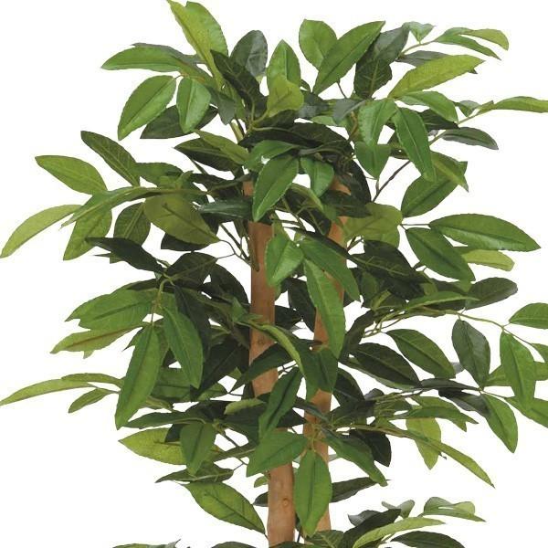 光触媒　人工観葉植物　ウォールグリーン　フェイクグリーン アルデシア130 光触媒 人工観葉植物 ウォールグリーン フェイクグリーン アルデシア130