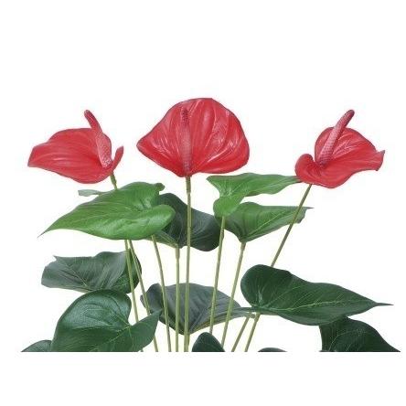 想像を超えての 観葉植物 造花 人工観葉植物 ギフト フェイクグリーン オシャレ 光触媒モンステラ アンスリューム 95cm 安心の定価販売 Habitat Jeunes Normandie Fr