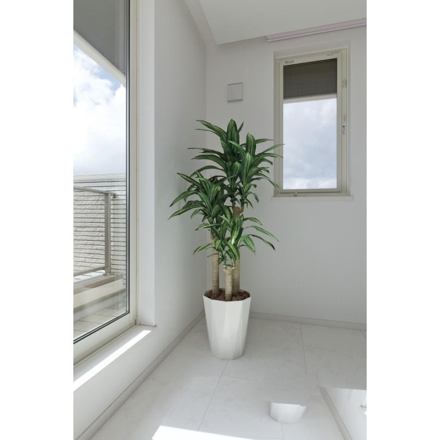 観葉植物 フェイク 大型 人工植物　光触媒　ドラセナマッサンゲアナ　H160cm