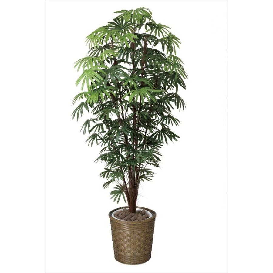 代引き手数料無料 観葉植物 フェイク 大型 人工植物 光触媒 シュロチク 棕櫚竹 180cm Ac5301c5 人工観葉植物と壁面装飾の愛一輪 通販 Yahoo ショッピング 超目玉 Jeannesauve Org