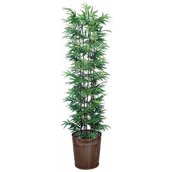 観葉植物 フェイク 人工植物 ギフト 大型 グリーン オシャレ 光触媒 黒竹 180cm/バンブー