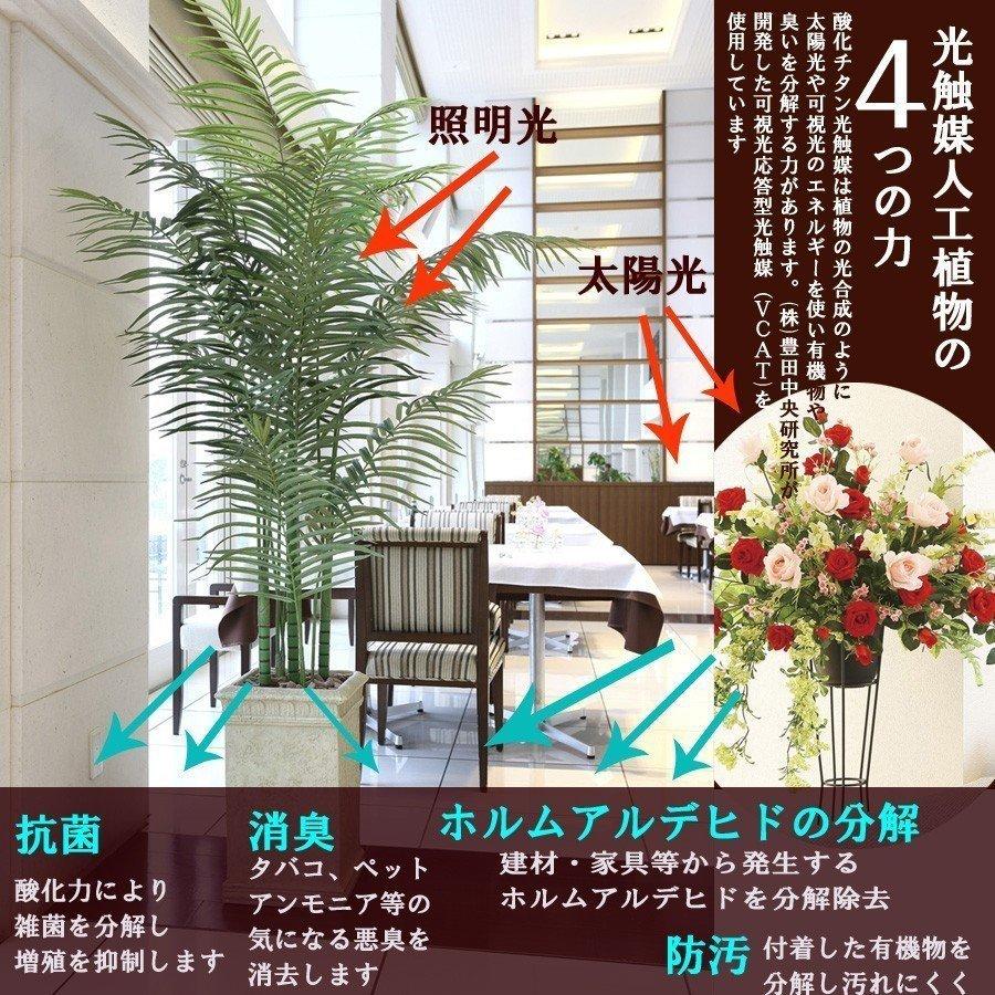 光触媒胡蝶蘭 ホワイト ５本立ち W60×D50×H76cmの画像
