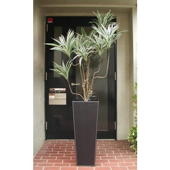 フェイクグリーン（大）コンシンネ190cm ドラセナコンシンネ 190cm/観葉植物 フェイク 人工植物 ギフト 大型