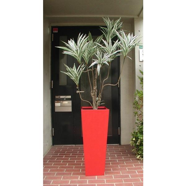 ドラセナコンシンネ 190cm/観葉植物 フェイク 人工植物 ギフト 大型
