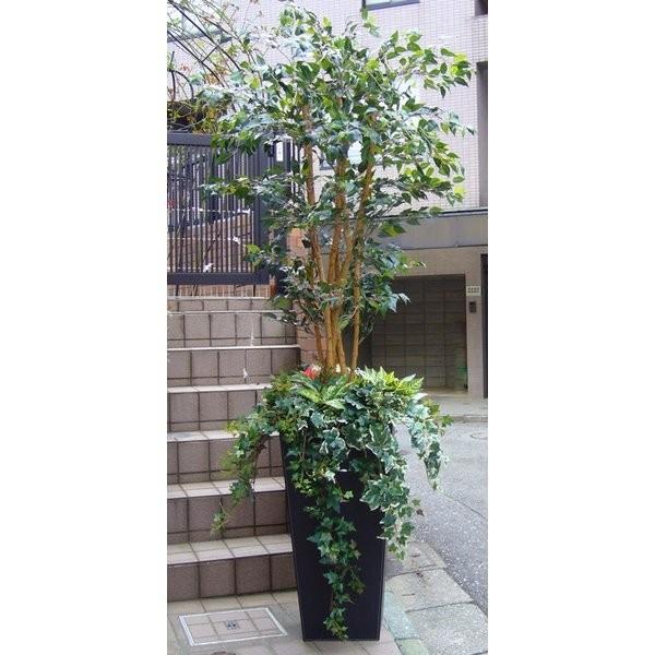 光触媒観葉植物 ベンジャミン1.8 〔フロアタイプ〕 インテリア