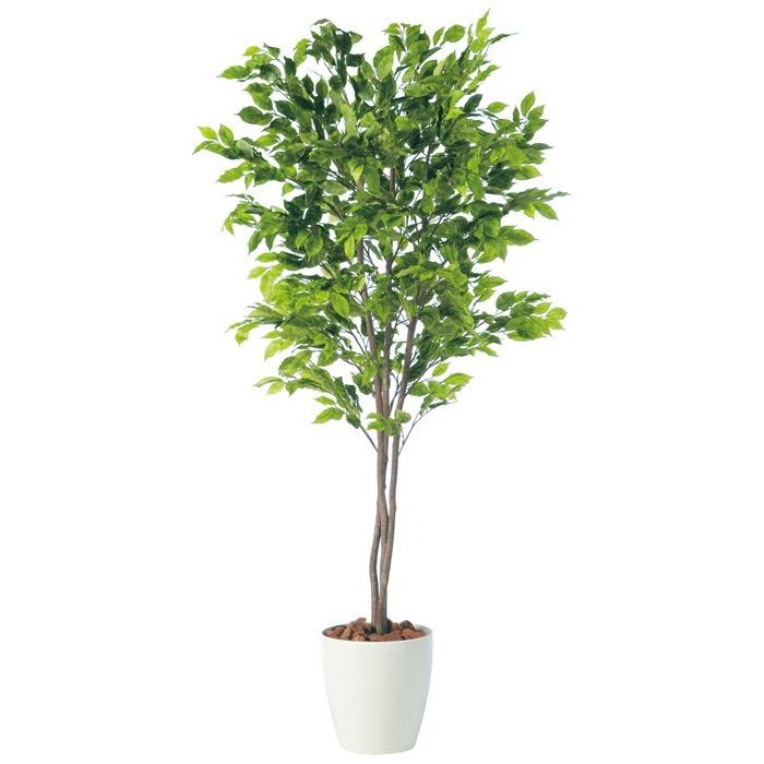 180cm 観葉植物 フェイク 人工植物 ギフト 大型 グリーン オシャレ/ ベンジャミンスプラッシュ3本立ち 180cm