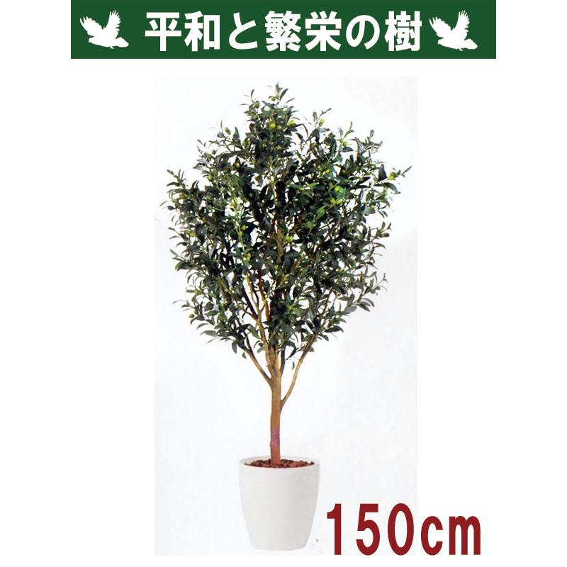 全国組立設置無料 150cm 観葉植物 フェイク 人工植物 ギフト 大型 グリーン オシャレ 天然幹 ライブオリーブ 150cm 新作モデル Www Technet 21 Org