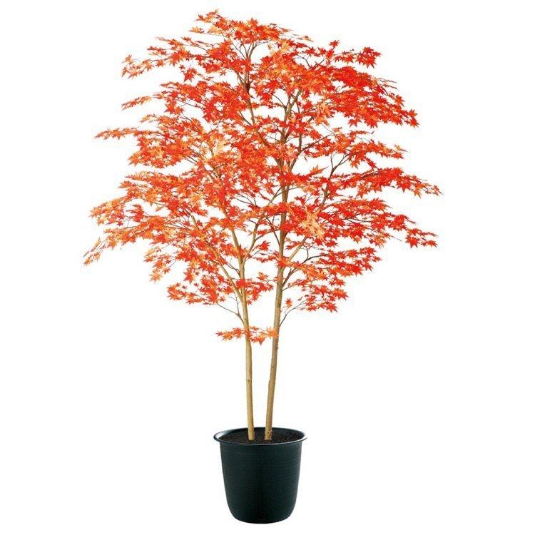 180cm人工観葉植物 フェイク 大型 紅葉 もみじ ヤマモミジ2本立ちレッド 180cm(53196円)