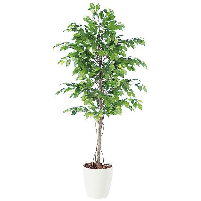 150cm/180cm/200cm 観葉植物 フェイク 人工植物 ギフト 大型 グリーン オシャレ/ フィッカスベンジャミン 150cm