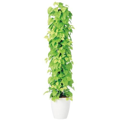 150cm 観葉植物 フェイク 人工植物 ギフト 大型 グリーン オシャレ ライムポトスヘゴ 鉢付 150cm