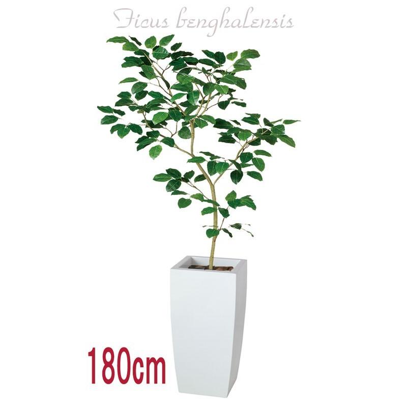 180cm 観葉植物 フェイク 人工植物 ギフト 大型 グリーン/ベンガル