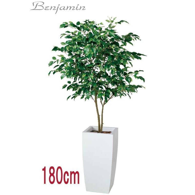 予約販売品 180cm 観葉植物 フェイク 人工植物 ギフト 大型 グリーン ワイルドベンジャミン 全高180cm Frpプランター入り 楽天 ランキング1位 Www Bodymindsoulcentre Com