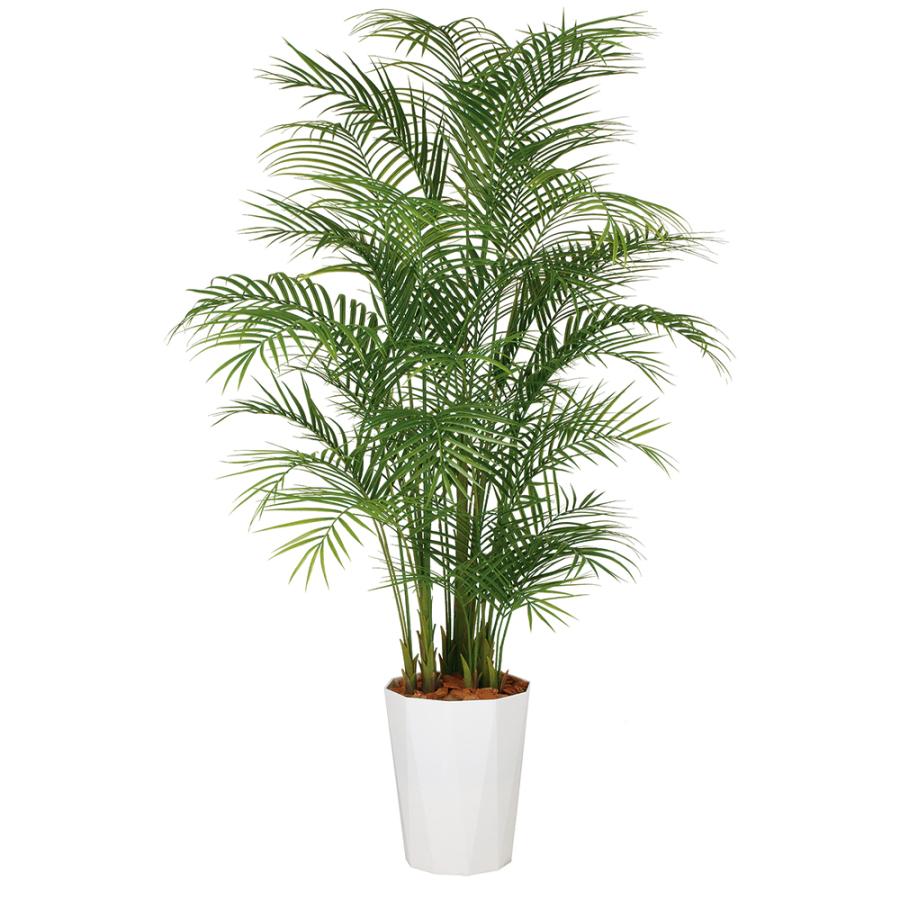 ⑬再値下げ【処分価格】新品 ヤシの木(220cm) 人工観葉植物 フェイク
