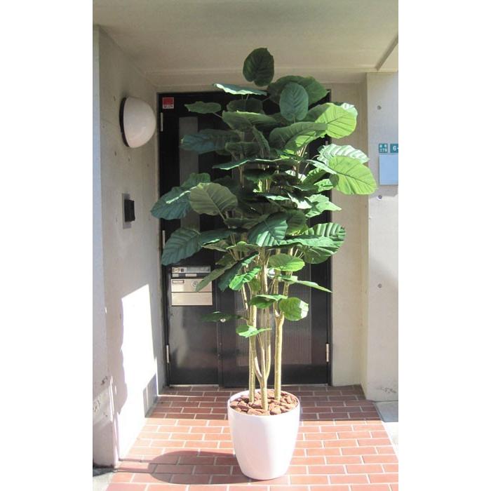 観葉植物 フェイク 人工植物 ギフト 大型 グリーン オシャレ ウンベラータ ３本立 210cm Purrworld Com