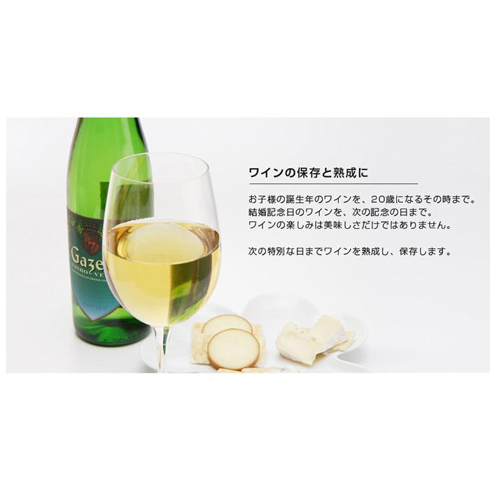 ブランド登録なし ワインセラー 12本収納 家庭用 タッチパネル式 ブランド登録なし ワインセラー 12本収納 家庭用 タッチパネル式