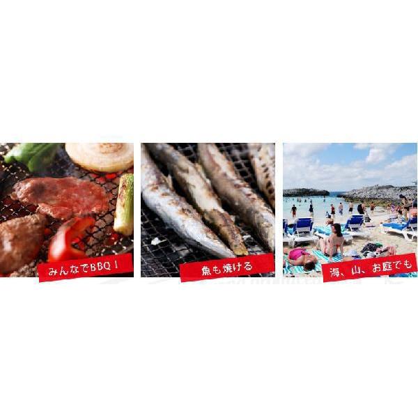 Budweiser(バドワイザー) バーベキューコンロ BBQ グリル