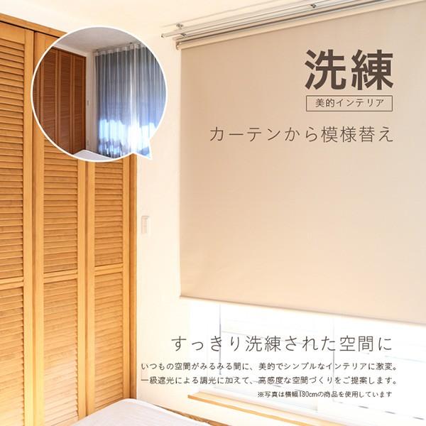 ロールスクリーン ロールカーテン ロールブラインド 幅60cm 遮光率