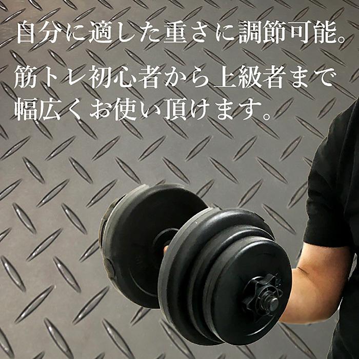 ダンベル 10kg 2個セット セメントダンベル エクササイズ ダンベル 10kg 2個セット セメントダンベル エクササイズ