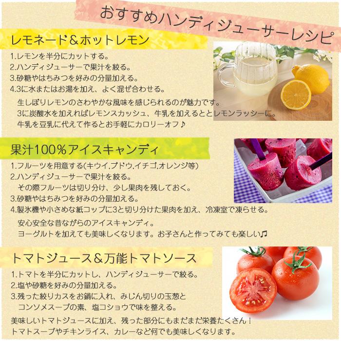 ハンドジューサー ステンレス製 業務用 家庭用 プロ用 手絞り 手 ハンドジューサー ステンレス製 業務用 家庭用 プロ用 手絞り 手