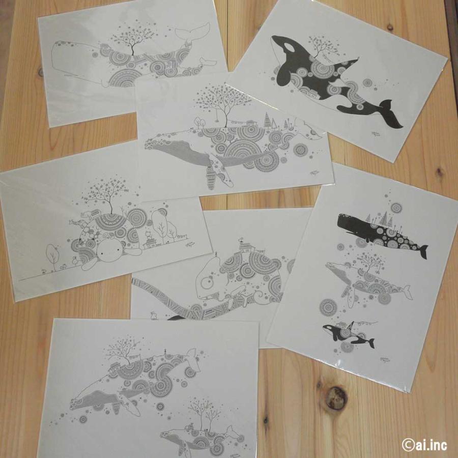 かめいち堂 A4 アートポスター イラスト クジラ シャチ カメ