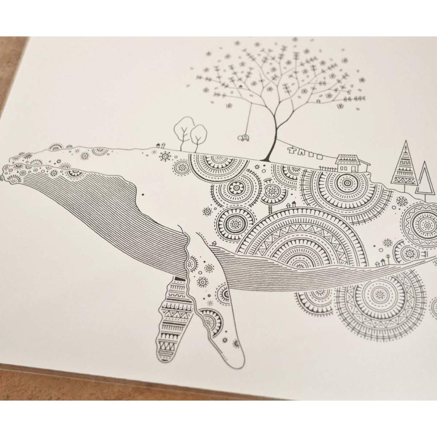 かめいち堂 A4 アートポスター イラスト クジラ シャチ カメ