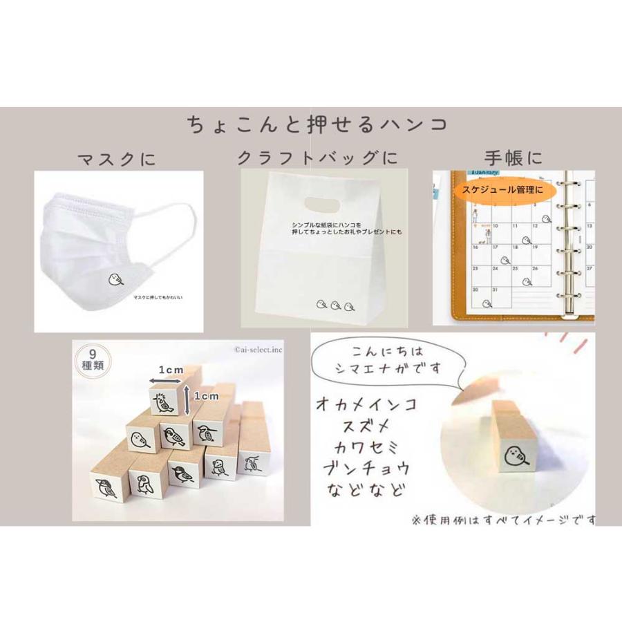 お値下！未使用 インコの可愛いスタンプ＆ダイ スタンピンアップ お値