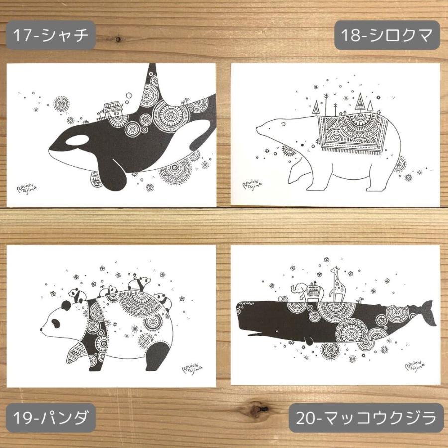 New ポストカード かめいち堂 デザイン多数 20種の絵柄 あすつく