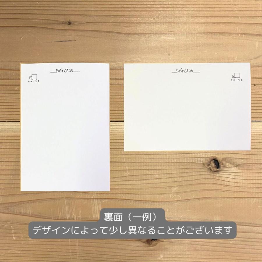 ポストカード かめいち堂 メッセージカード 挨拶 お礼 暑中見舞い 20種