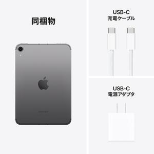 新品 iPad mini（A17 Pro）128GB Wi-Fi+Cellular MXPN3J/A スペースグレー SoftBank 2024年発売 動作確認のため開封・新品の画像