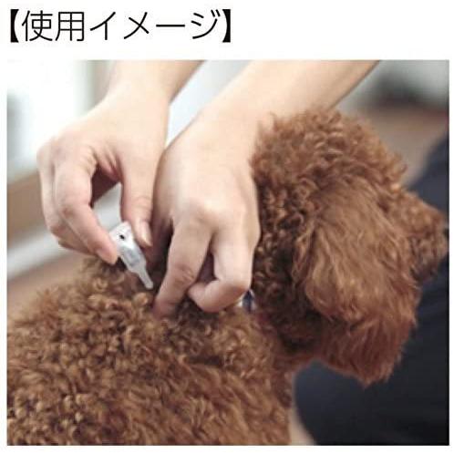 動物用医薬部外品 薬用 サンスポット ラベンダー 中型犬用 1.6g×3本入り｜ai-yshop｜03