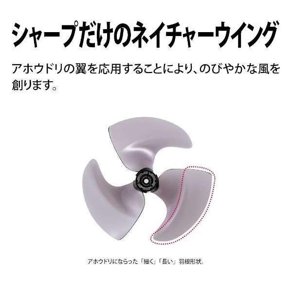 プラズマクラスター シャープ 扇風機 PJ-L2DS-W DCモーター搭載 3D
