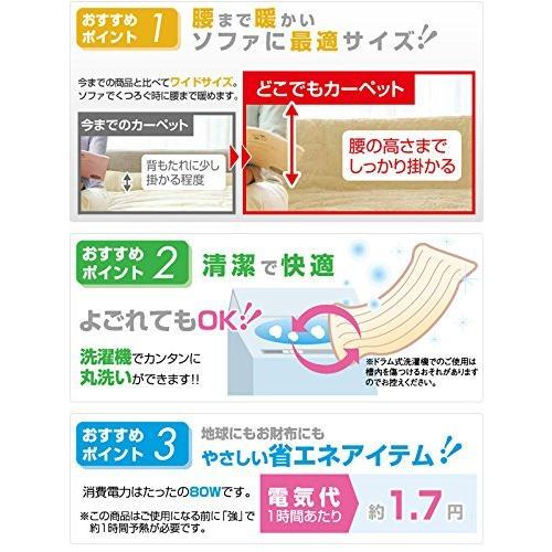 山善 YAMAZEN 洗えるどこでもホットカーペット YWC-181F(C