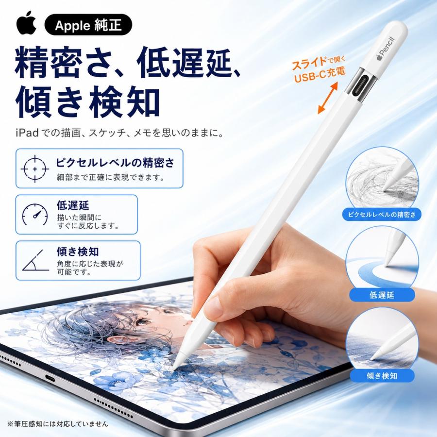 Apple 新品 未開封 Apple Pencil USB-C 純正 保証未開始 メーカー1年