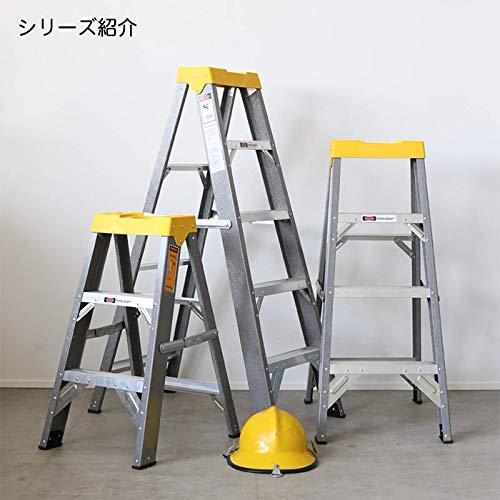 ダルトン(Dulton)　脚立　ファイバー　高さ780×幅435×奥行575mm　LADDER　3STEPS　3段タイプ　ラダー　FIBER　H19-