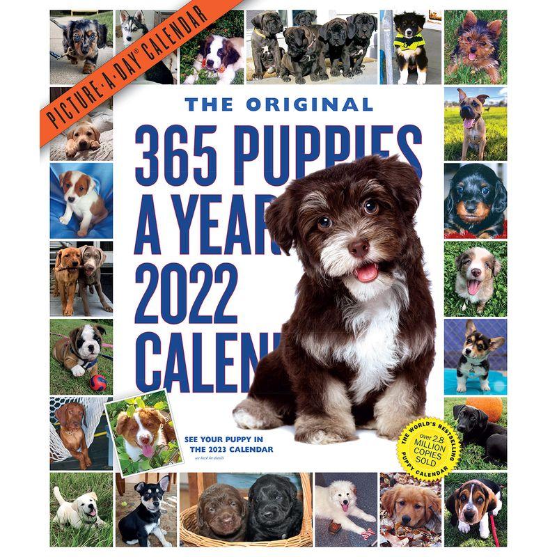 2022 365 PuppiesAYear Calendar 2023020518362401723アイアイアルショップ 通販