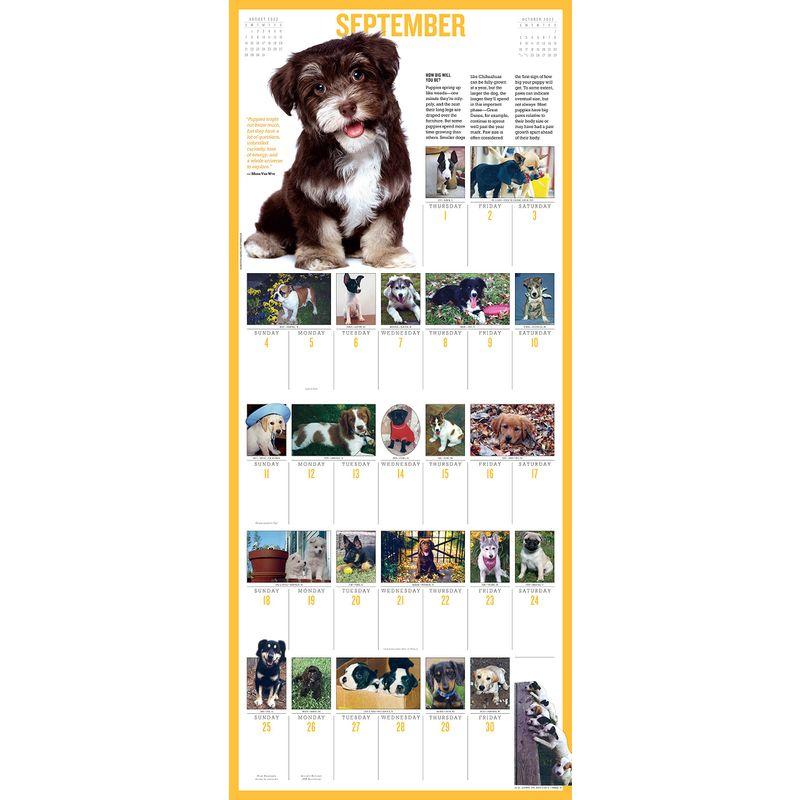 2022 365 PuppiesAYear Calendar 2023020518362401723アイアイアルショップ 通販