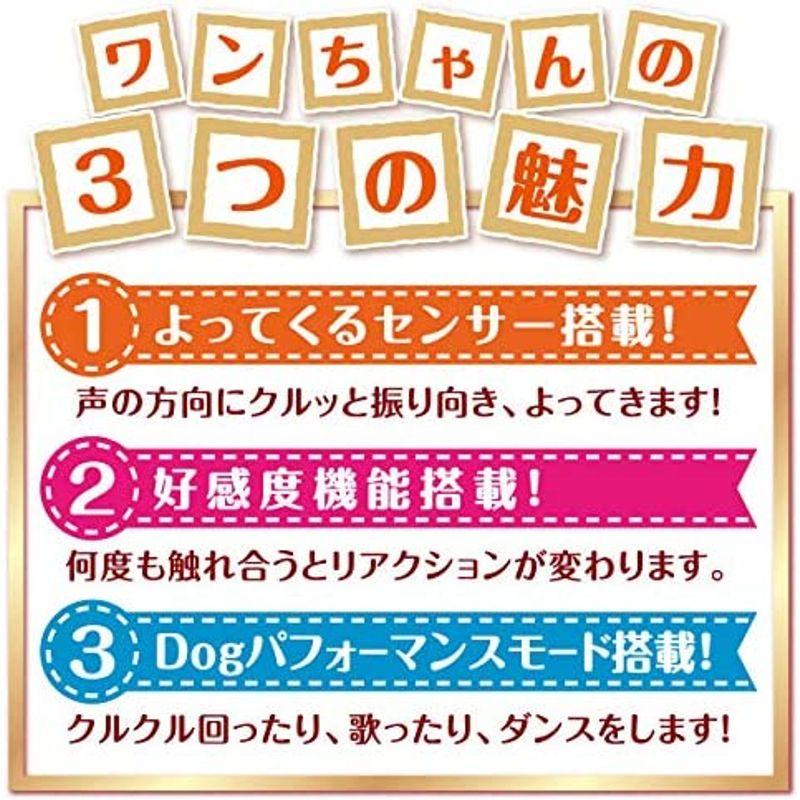 イワヤ(IWAYA) おいでおいでよってくる部屋ともワンちゃん レトリバー