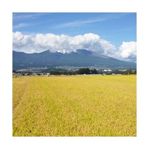 コシヒカリ 5kg コシヒカリ 5キロ 令和6年米 幻のお米 五郎 コシヒカリ 5kg コシヒカリ 5キロ 令和6年米 幻のお米 五郎