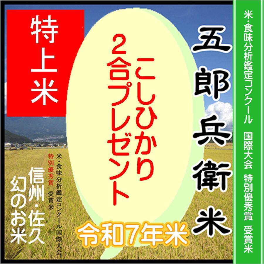 白井田七 長野コシヒカリプレゼント 900円相当リピータ特典or初回特典
