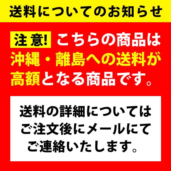 カーマット レイダース フロアマット フロント マット ラバー素材 2枚