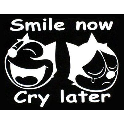 ステッカー フィリックス ツーフェイス 全2色 ホワイト ブラック 車