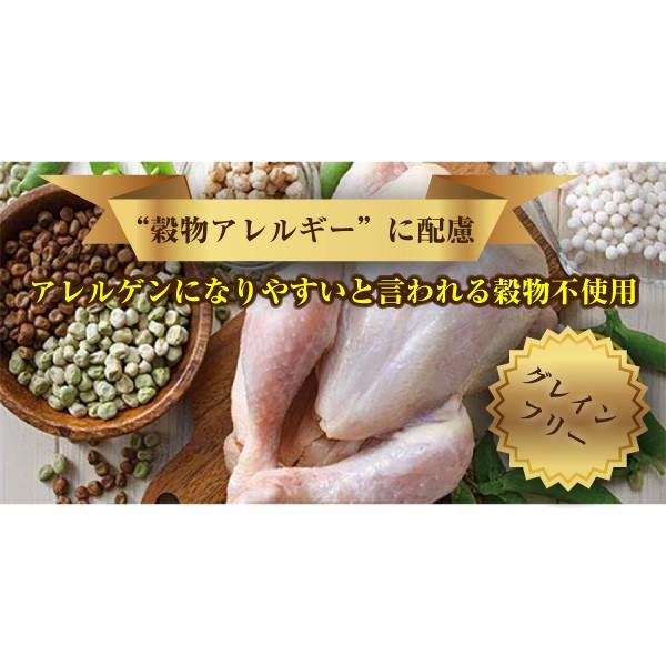 ドッグフード オーガニック グレインフリー ソルビダ ターキー 全年齢