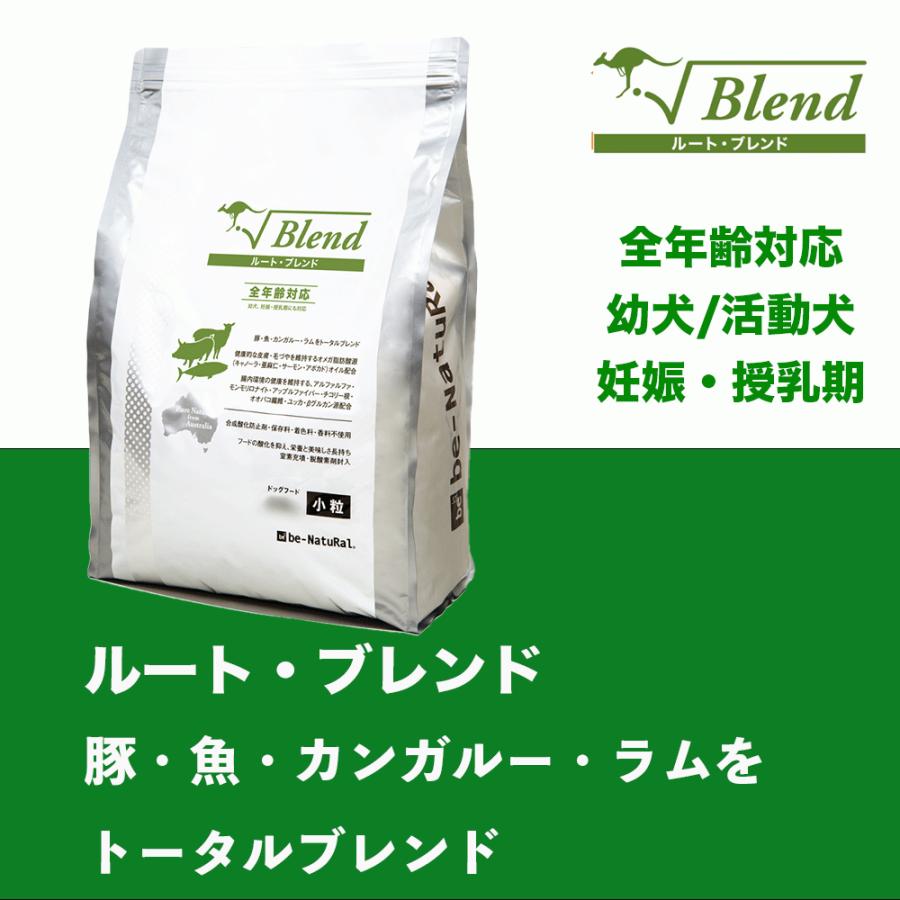 リニューアル品 ビィナチュラル ルートブレンド 中粒 1 5kg 全年齢対応 活動犬 幼犬 妊娠中 授乳期 高栄養 ドッグフード 犬 Be Natural Aiai アイアイ 通販 Yahoo ショッピング