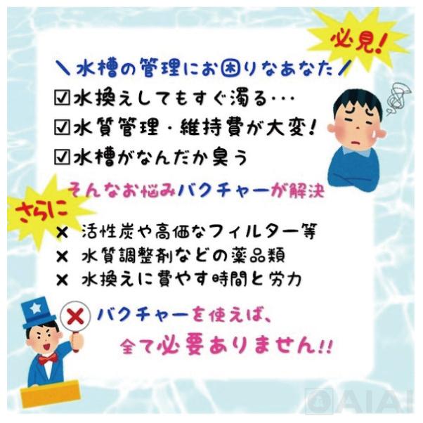 水槽用バクチャー 淡水用 60L用×3個セット 浄化活性石 水質調整 水槽の
