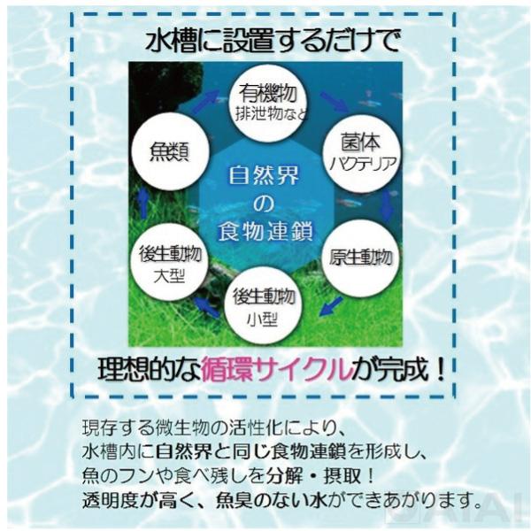 即日発送 バクチャー 水槽 水質浄化活性石 水槽用バクチャー(淡水用