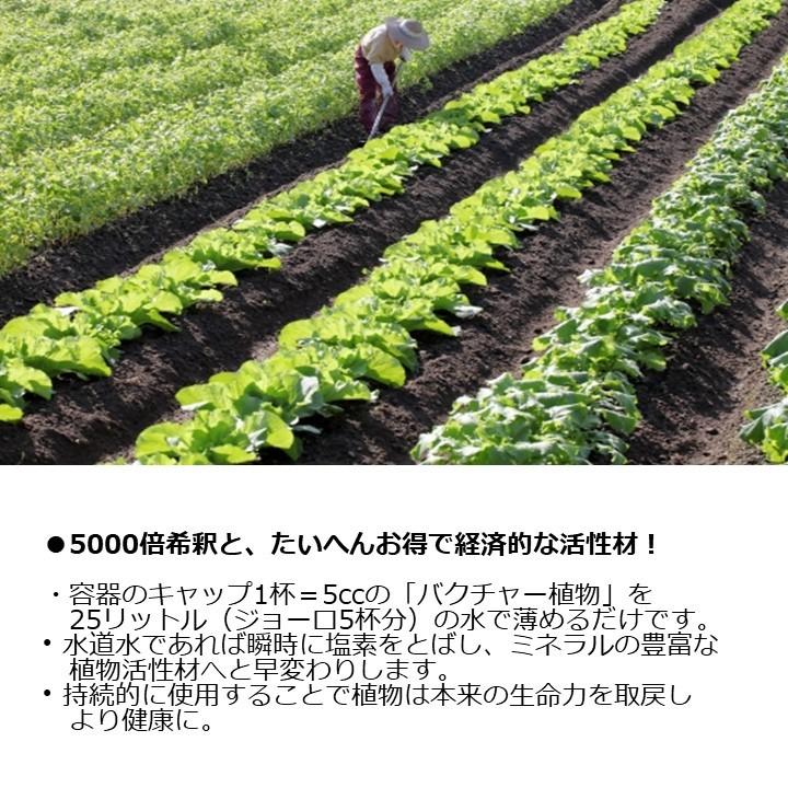 バクチャー植物 100cc 土壌改良 液体肥料 植物活性剤 栄養剤 土壌改良剤 微生物活性剤 植物 ガーデニング Aiai アイアイ 通販 Yahoo ショッピング